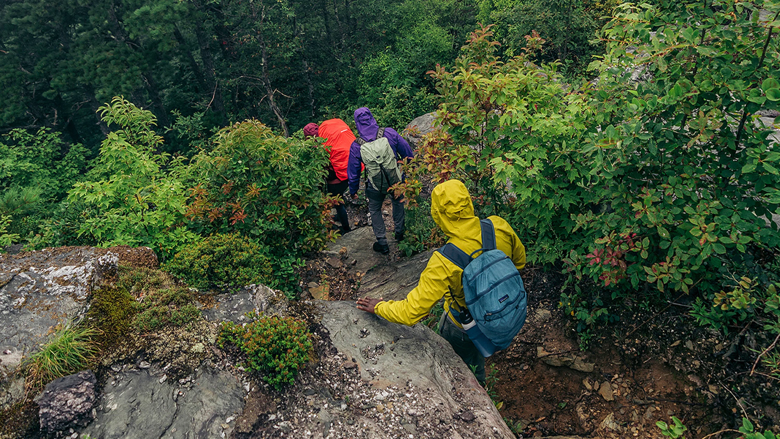 Built for the Wild Outdoors