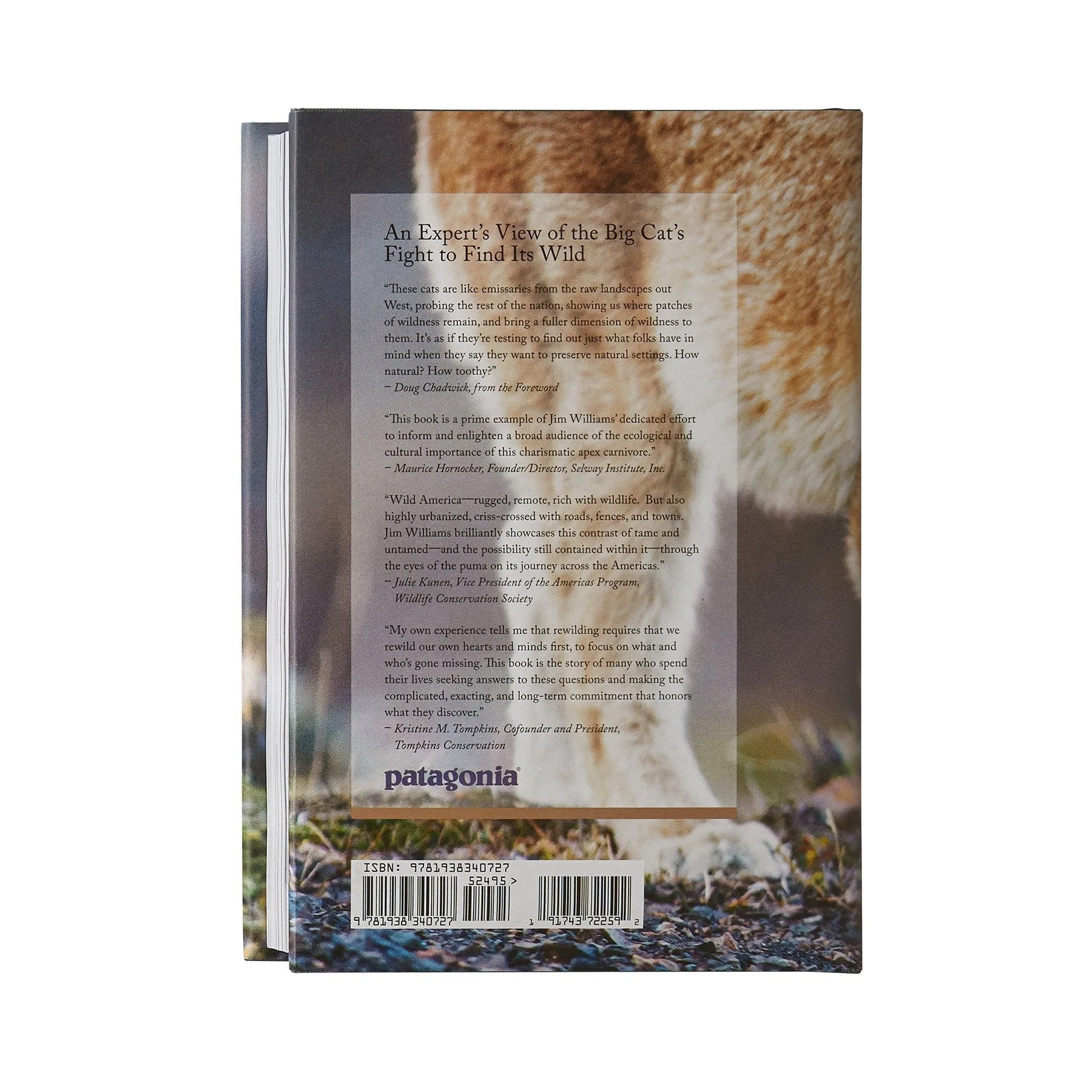 Path of the Puma: The Remarkable Resilience of the Mountain Lion (hardcover book) - Image 9