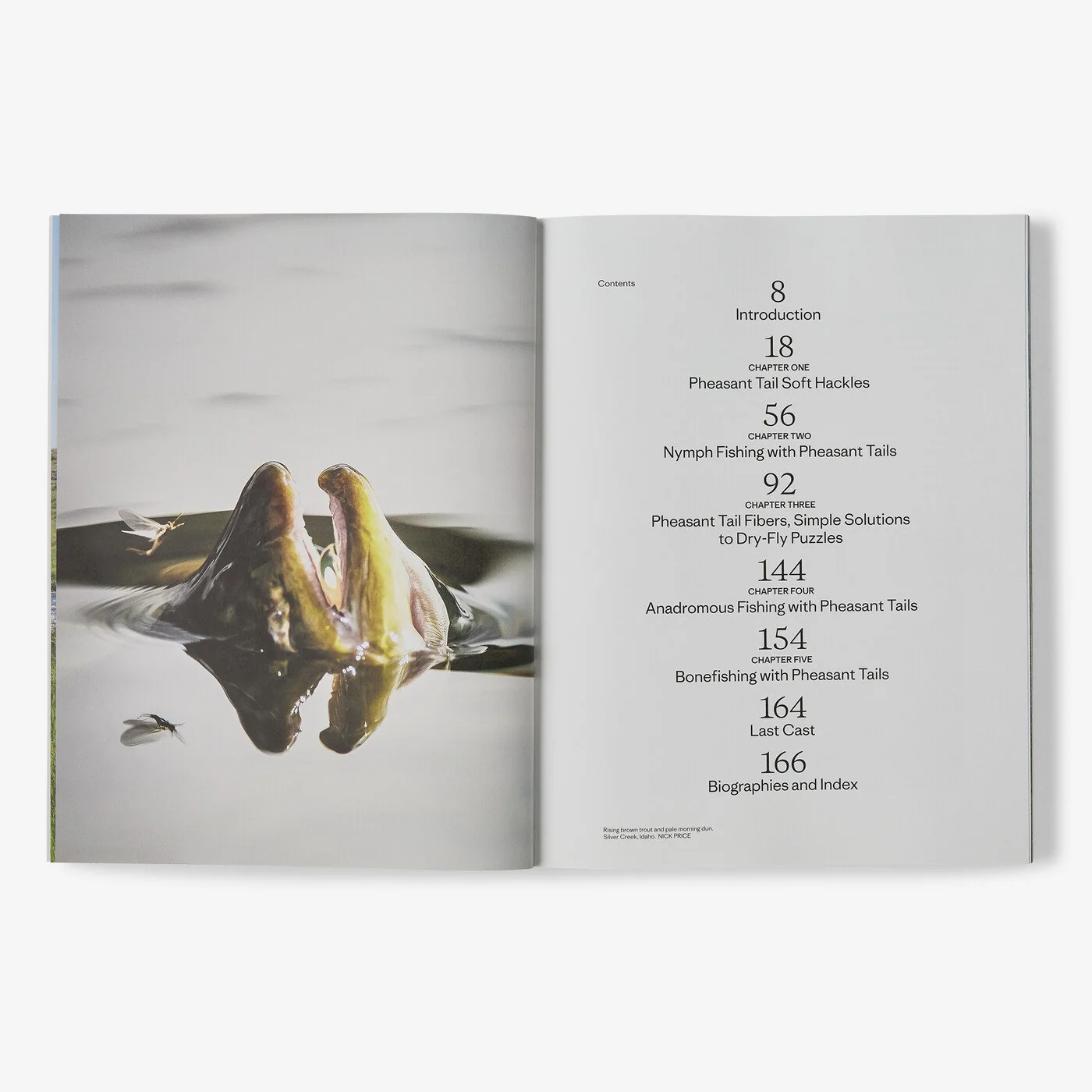 "Pheasant Tail Simplicity: Recipes and Techniques for Successful Fly Fishing" (by Yvon Chouinard, Craig Mathews, and Mauro Mazzo) - Image 13
