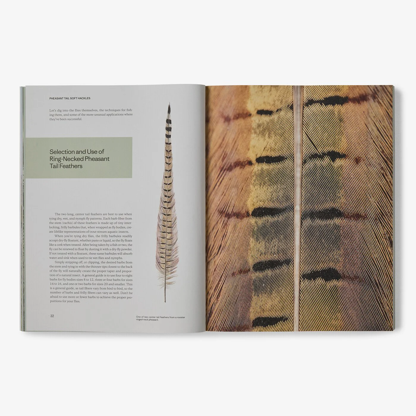 "Pheasant Tail Simplicity: Recipes and Techniques for Successful Fly Fishing" (by Yvon Chouinard, Craig Mathews, and Mauro Mazzo) - Image 9