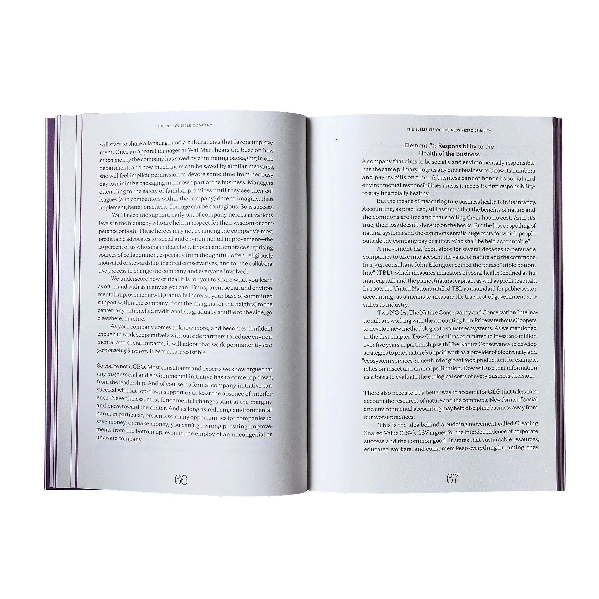 The Responsible Company: What We've learned From Patagonia's First 40 Years by Yvon Chouinard & Vincent Stanley (Patagonia paperback book) - Image 3
