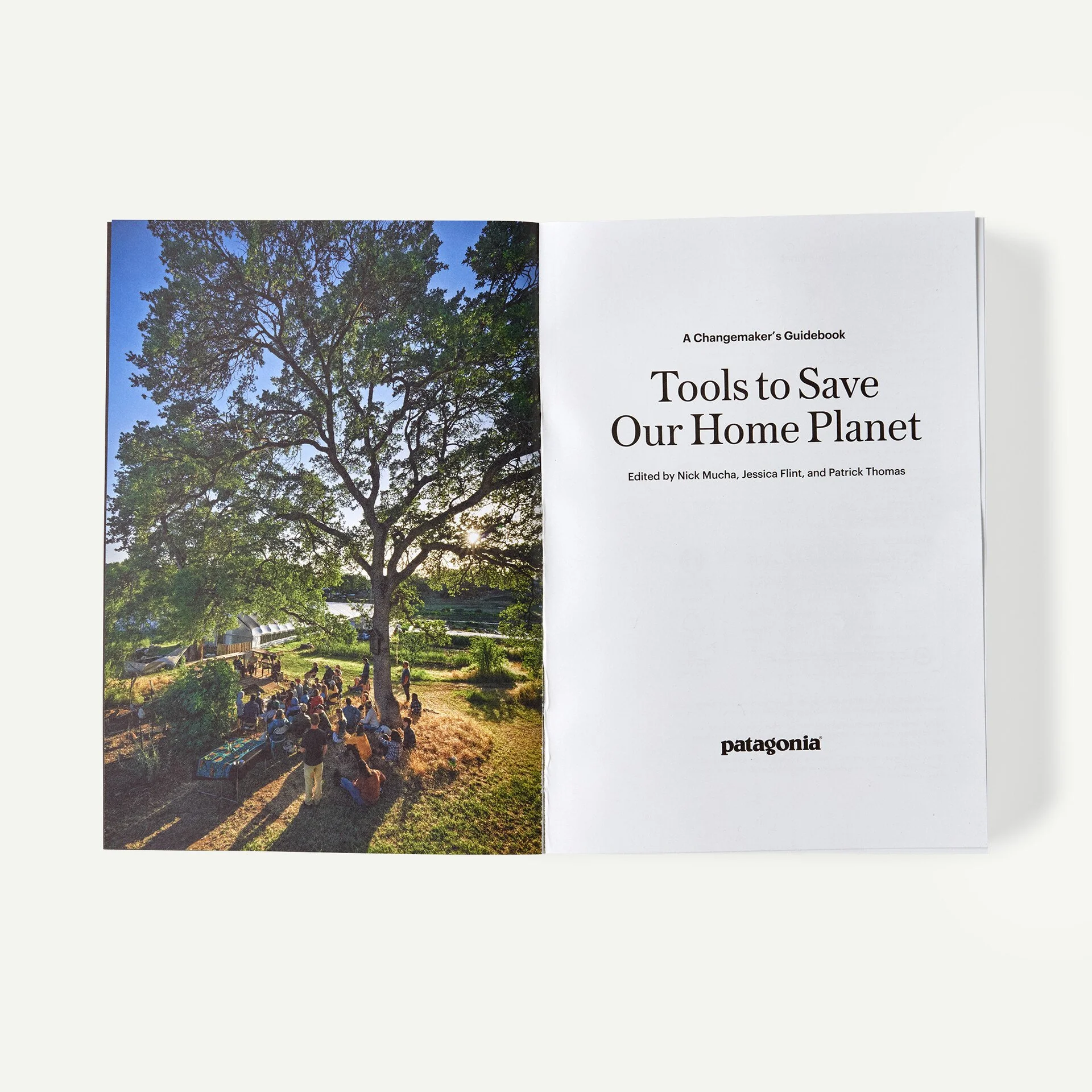 Tools to Save Our Home Planet: A Changemaker's Guidebook (edited by Nick Mucha, Jessica Flint, and Patrick Thomas) - Image 3
