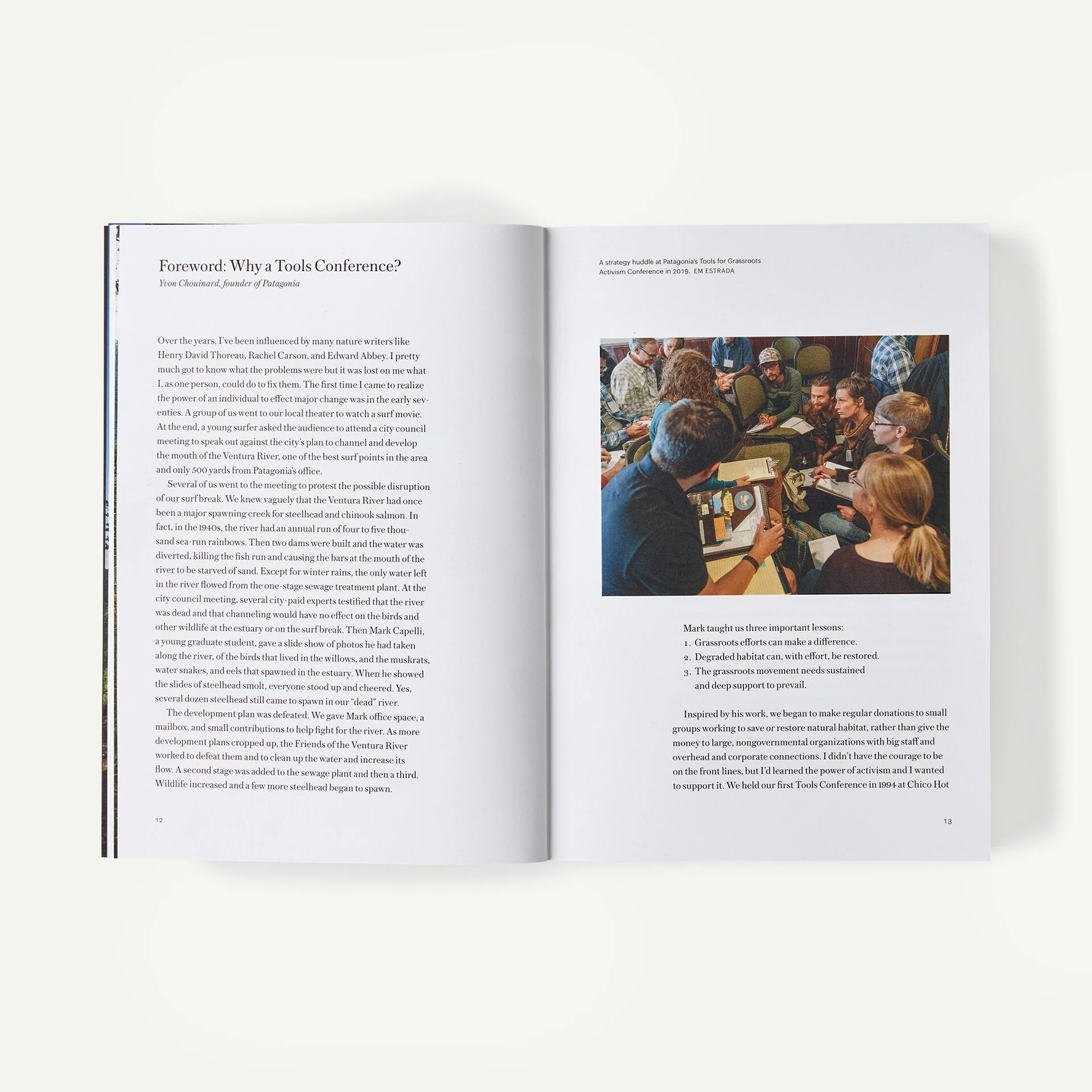 Tools to Save Our Home Planet: A Changemaker's Guidebook (edited by Nick Mucha, Jessica Flint, and Patrick Thomas) - Image 6